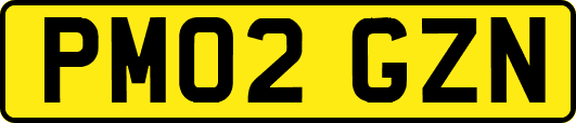 PM02GZN
