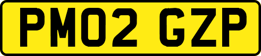 PM02GZP