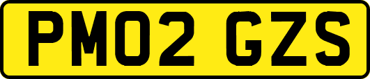 PM02GZS
