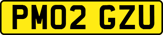 PM02GZU