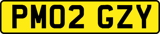 PM02GZY