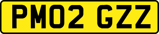 PM02GZZ