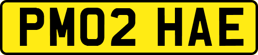 PM02HAE