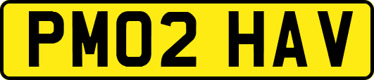 PM02HAV