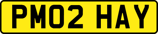 PM02HAY