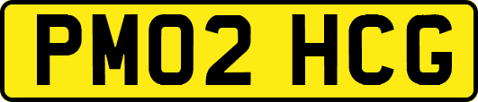 PM02HCG
