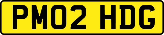 PM02HDG