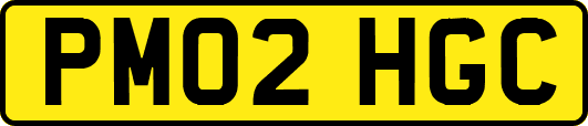 PM02HGC
