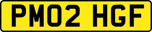 PM02HGF