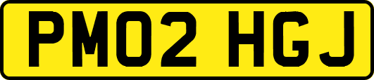 PM02HGJ