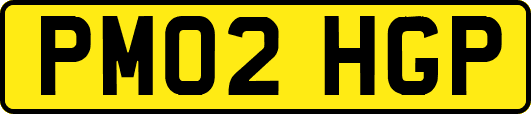 PM02HGP