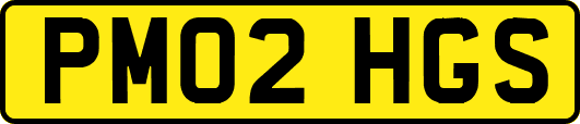 PM02HGS