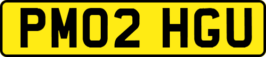 PM02HGU