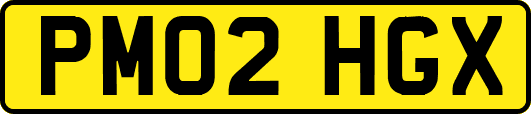 PM02HGX