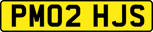 PM02HJS