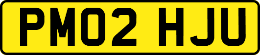 PM02HJU