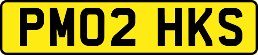 PM02HKS