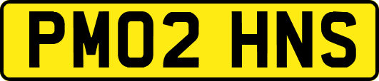 PM02HNS