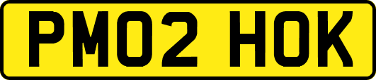 PM02HOK