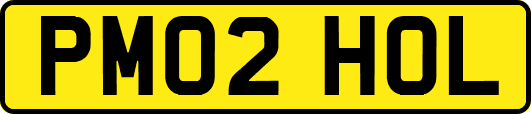 PM02HOL