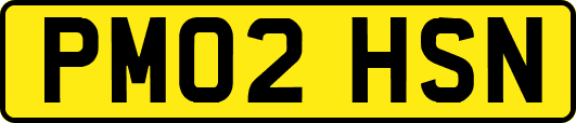PM02HSN