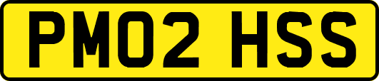 PM02HSS