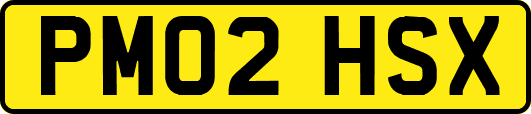PM02HSX
