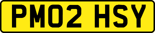 PM02HSY