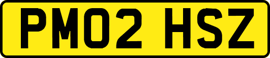 PM02HSZ