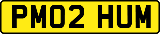 PM02HUM