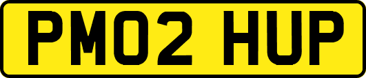 PM02HUP