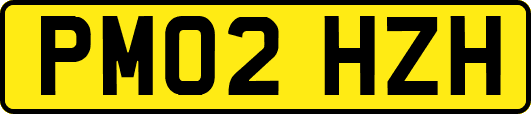 PM02HZH