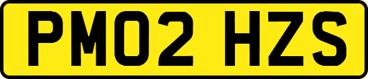 PM02HZS