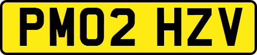 PM02HZV