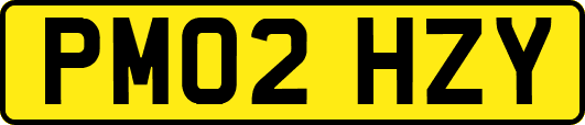 PM02HZY