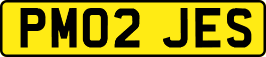 PM02JES