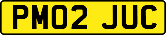 PM02JUC