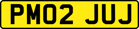 PM02JUJ