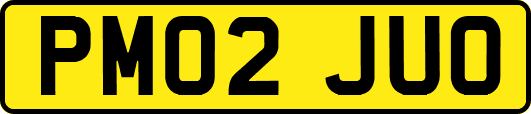 PM02JUO