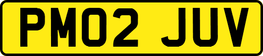 PM02JUV