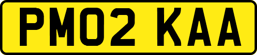 PM02KAA