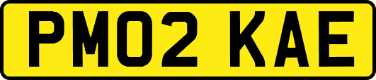 PM02KAE
