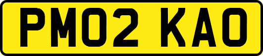 PM02KAO