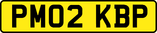 PM02KBP