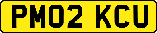 PM02KCU