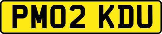 PM02KDU