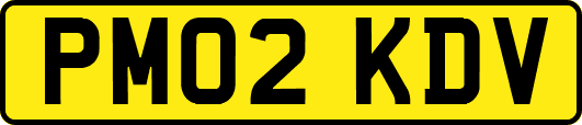 PM02KDV