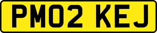PM02KEJ