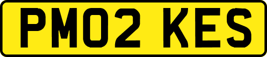 PM02KES