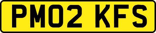PM02KFS